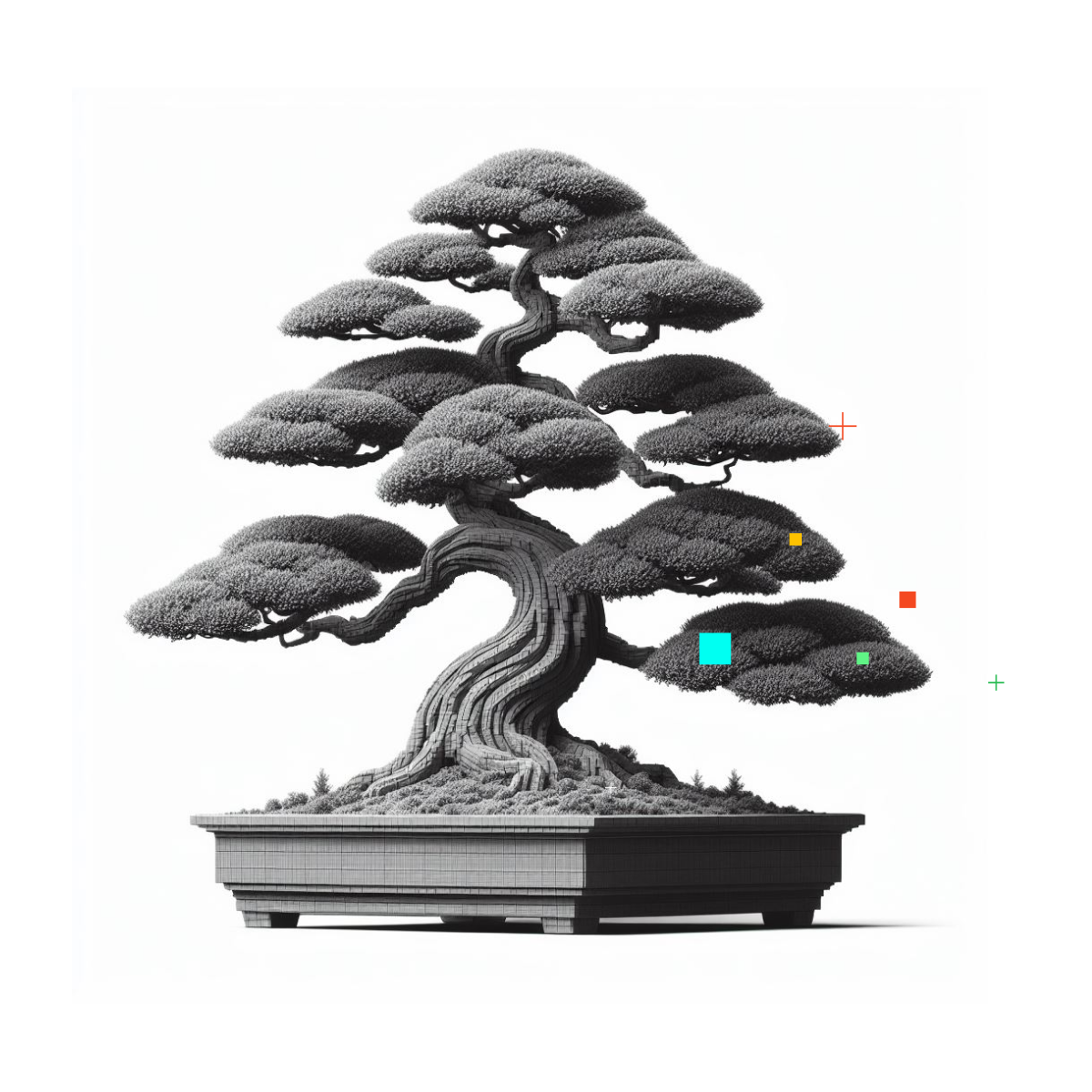 bonsai tree